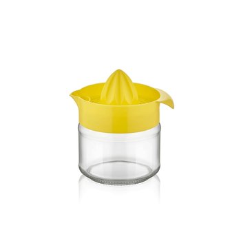Lis na citrusy sklo 300ml 11x8,5x11,5cm