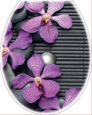WC deska orchidej fialov han