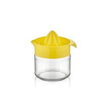 Lis na citrusy sklo 300ml 11x8,5x11,5cm